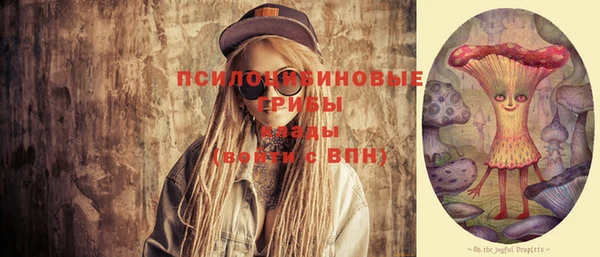 гидропоника Абаза