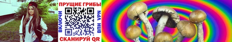 Галлюциногенные грибы GOLDEN TEACHER Альметьевск