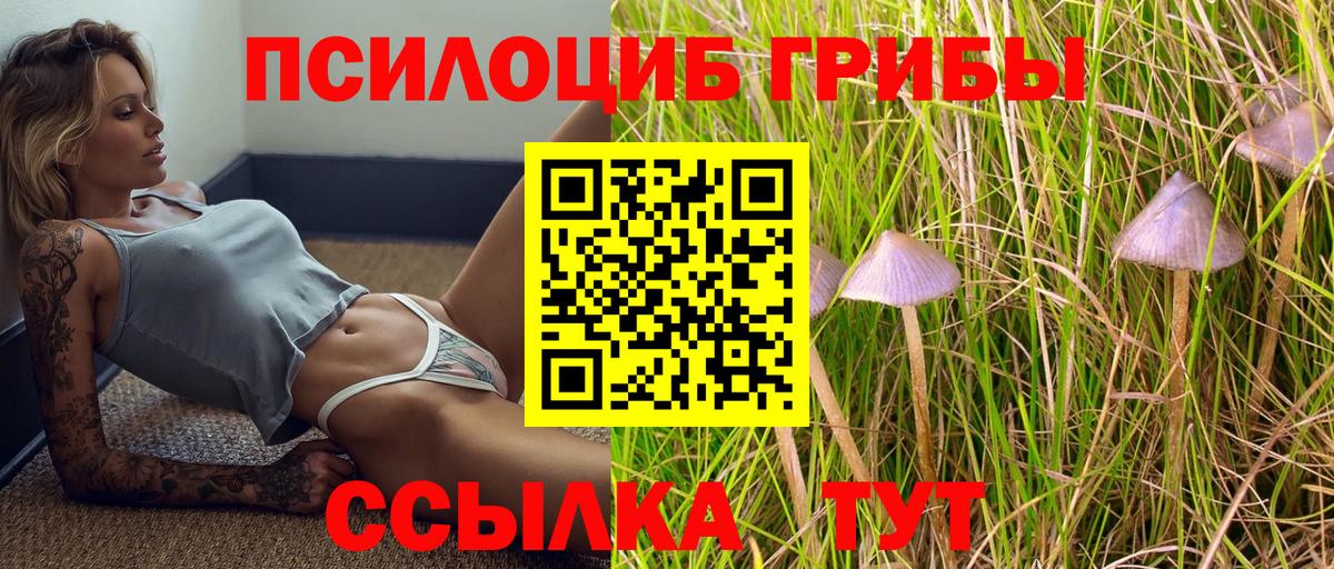 магазин продажи наркотиков  Псилоцибиновые грибы Magic Shrooms  Вход с VPN  Псилоцибиновые грибы Psilocybe  Альметьевск 