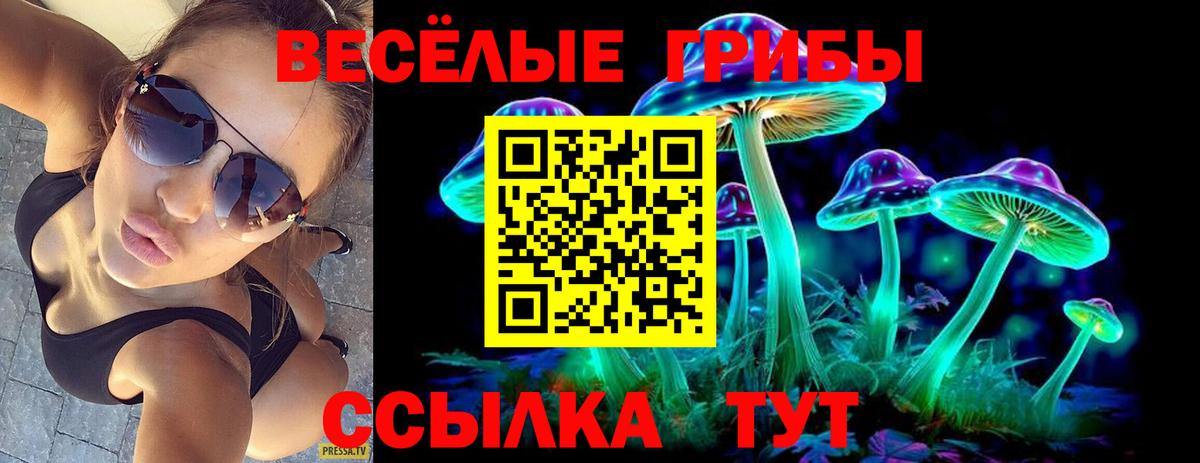 Галлюциногенные грибы мицелий Альметьевск